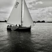 L1100818