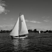 L1100847