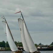 P1100129